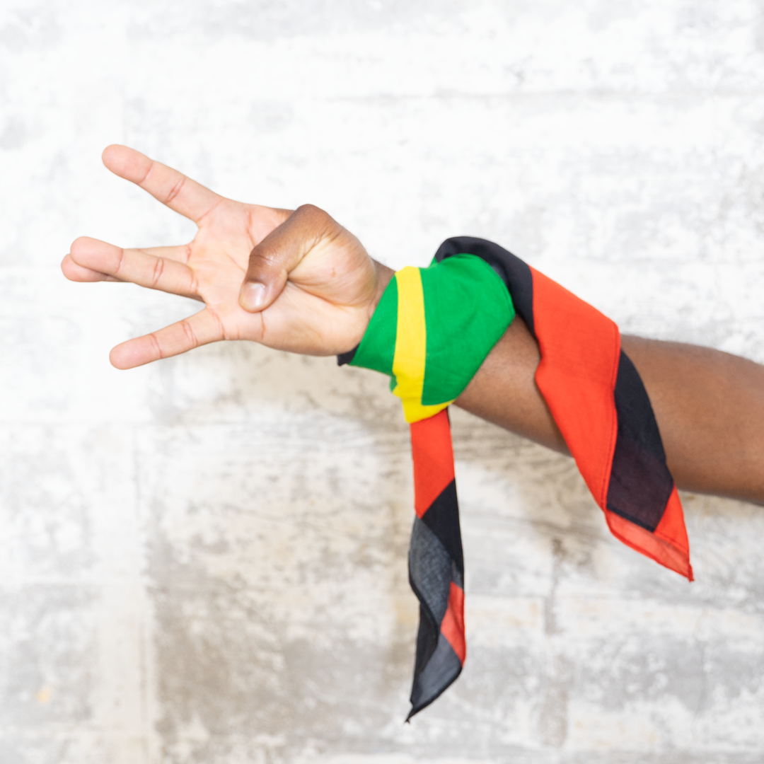 "PAN FLAG" BANDANA
