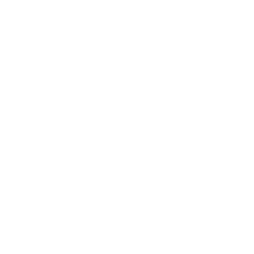 DUBYA logo